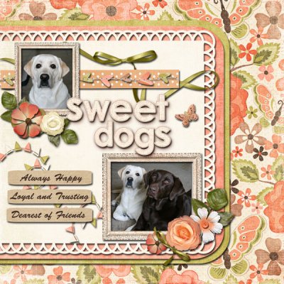 Sweet Dogs