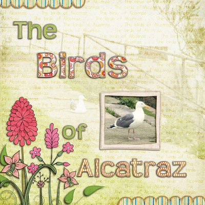 Birds of Alcatraz