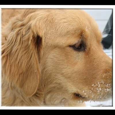 Izzie