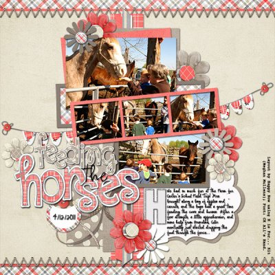HN H is for Horses 2011