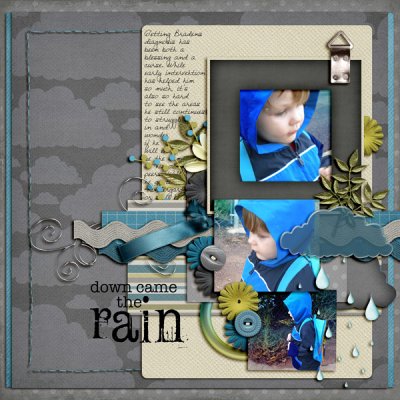 Down Came The Rain