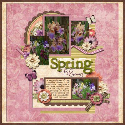 Spring Blooms