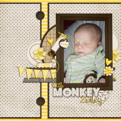 Little Monkey Zachary
