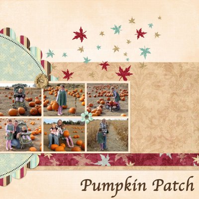 Pumpkin Patch
