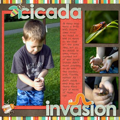 Cicada Invasion