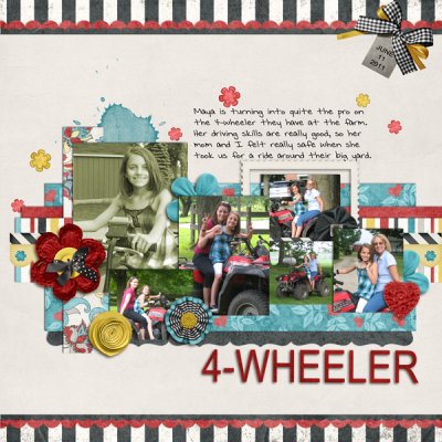 4-Wheeler