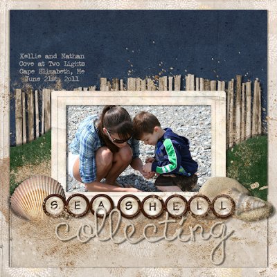 Collecting Seashells