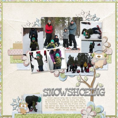 snowshoeing