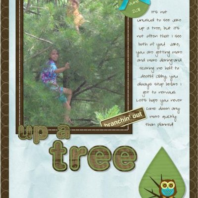 Up a Tree