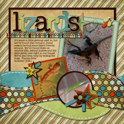Lizards
