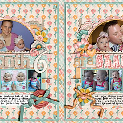 Month 6 At A Glance