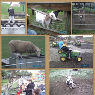 Fun down on the farm