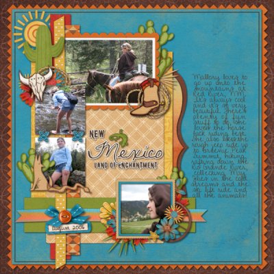 New Mexico Land of Enchantment