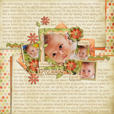 12 weeks