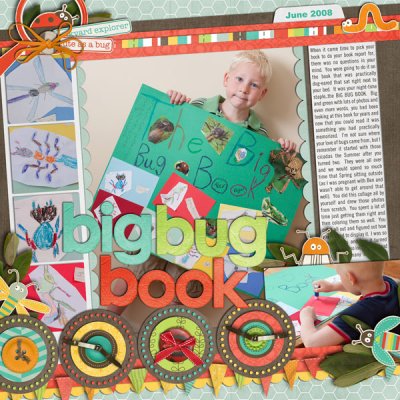big bug book