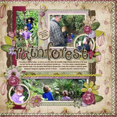 Rainforest - Andrea's Garden