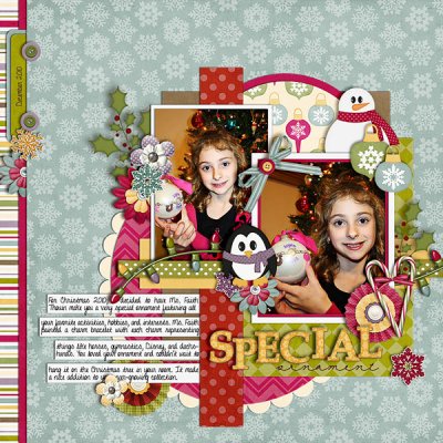 Special Ornament