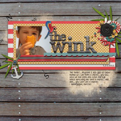 the wink