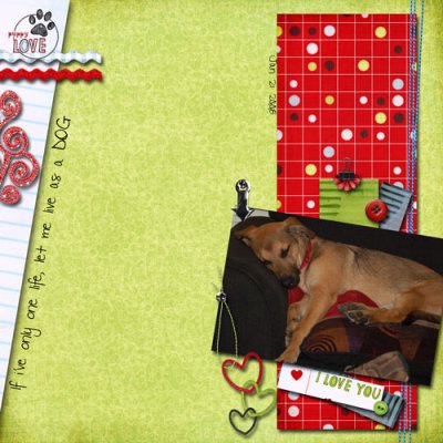 As A Dog