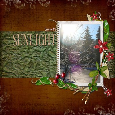 Sweet Sunlight