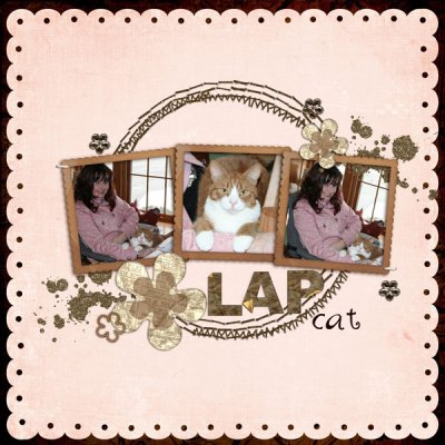Lap Cat