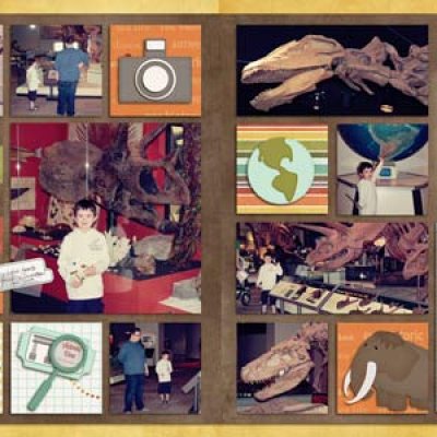field museum.