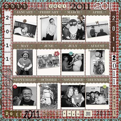 2011 In Pictures