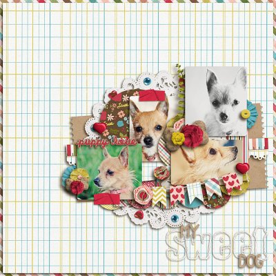 My Sweet Dog