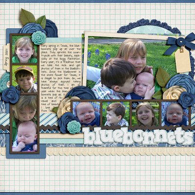 Bluebonnets