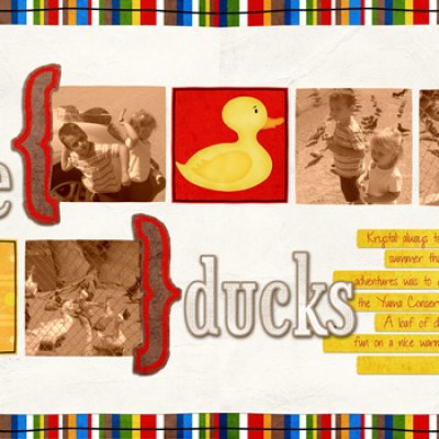 feed the ducks