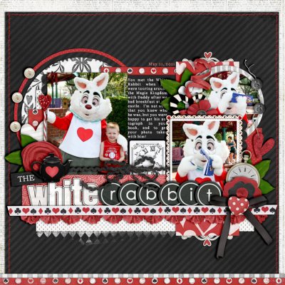 The White Rabbit
