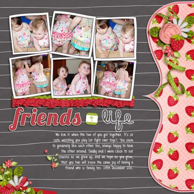 Friends for life