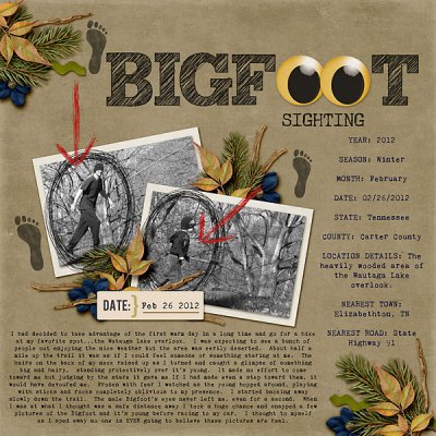 Bigfoot Sighting