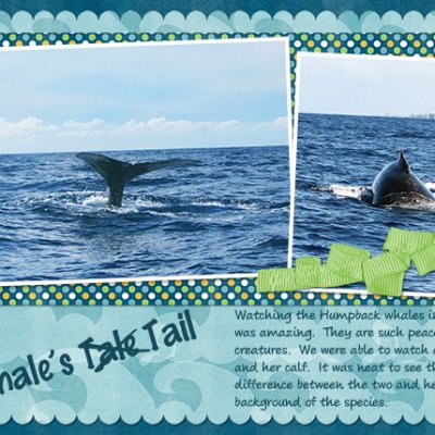 A Whale's Tail