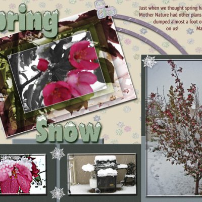 Spring Snow