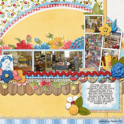 Aunt Robyn's Shop