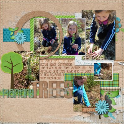 Planting Trees