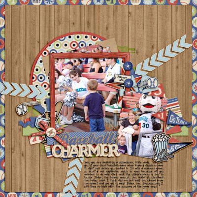 baseball-charmerSSD