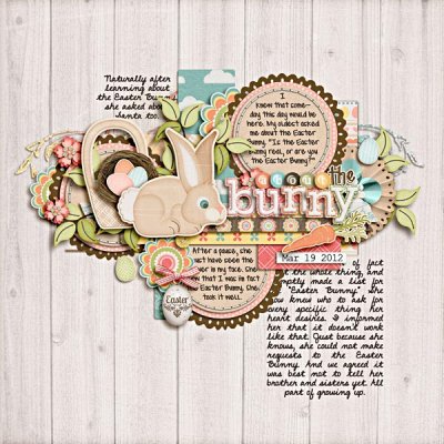About the Bunny