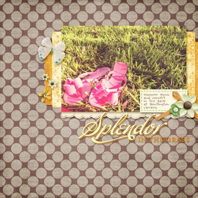 splendor in the grass