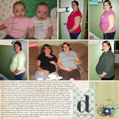 Pregnancy #2