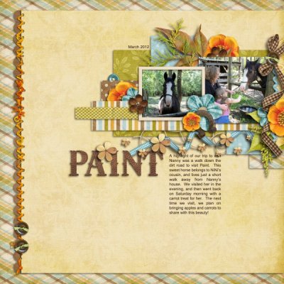 Paint
