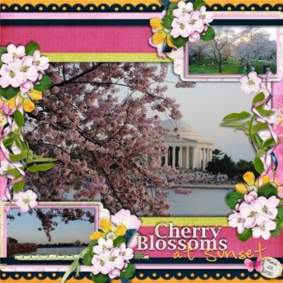 Cherry Blossom at Sunset