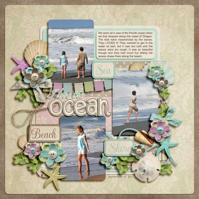 The Ocean