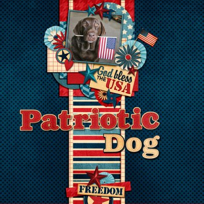 Patriotic Dog