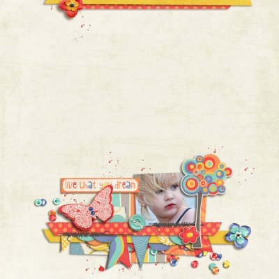what you dream