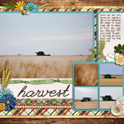 sm2012-6-wheatharvest-right