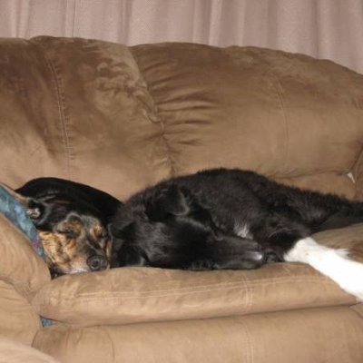 Challenge 2 Photo #1 - {Snooze}