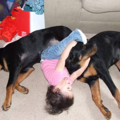 Piper and Pups far