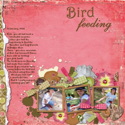Bird Feeding